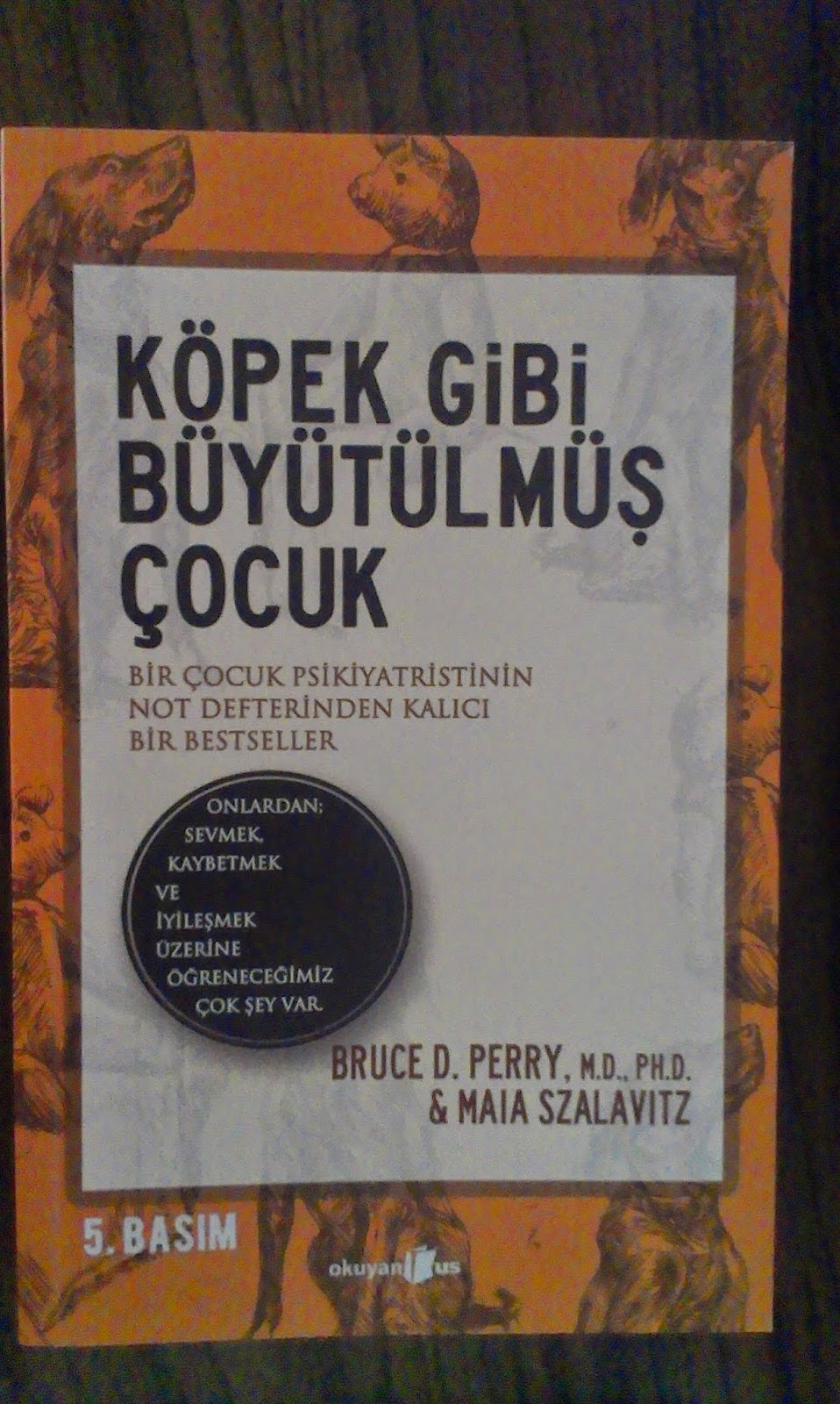 Uyku Kardeşim Köpek Gibi Büyütülmüş Çocuk Cem Mumcu