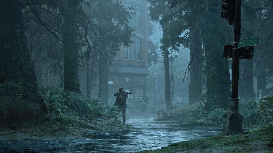 The Last of Us Part 2, Art, 4K, #5.1805
