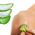 6 Amazing Benefits of Aloe Vera on Skin