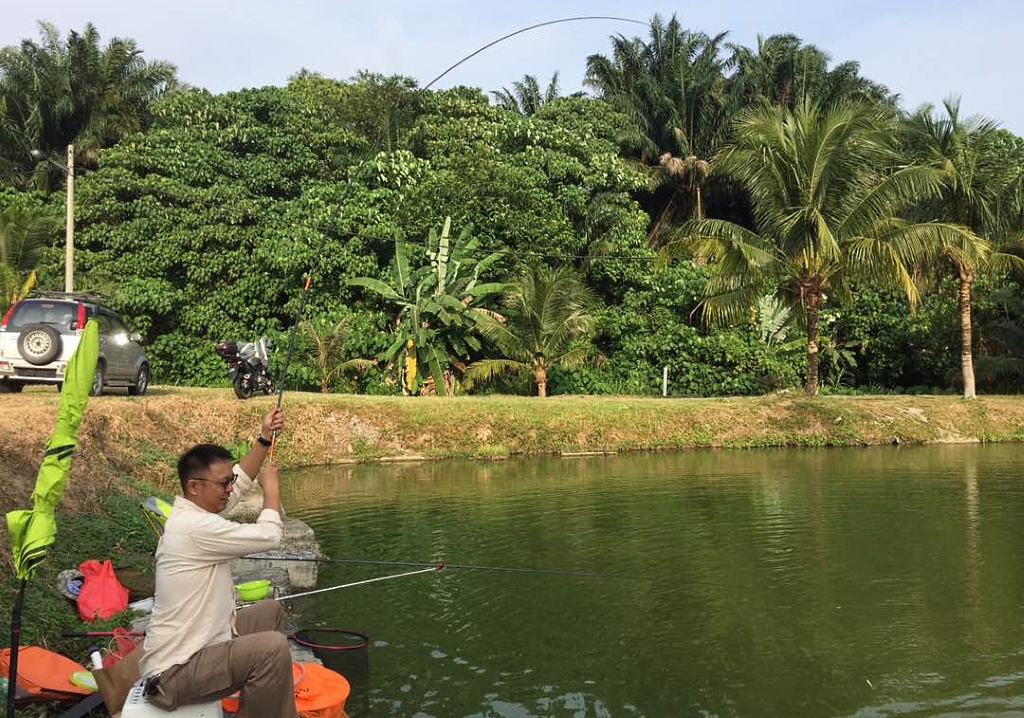 whipping stick fishing rod