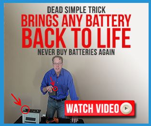 Frank and Tom EZ Battery Reconditioning course