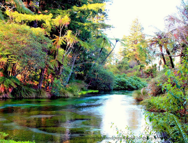 Hamurana Springs NZ