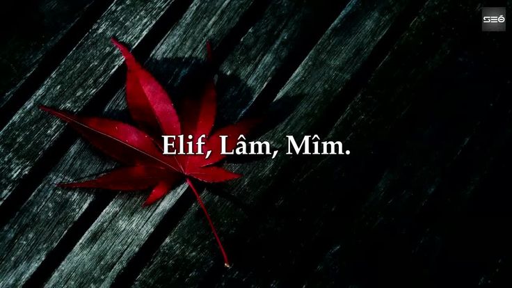 suleyman sirri dan 05 29 18