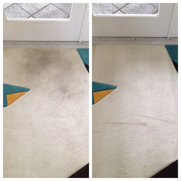 Carpet Cleaning Kendall, Rug Cleaning Kendall (786)9420525