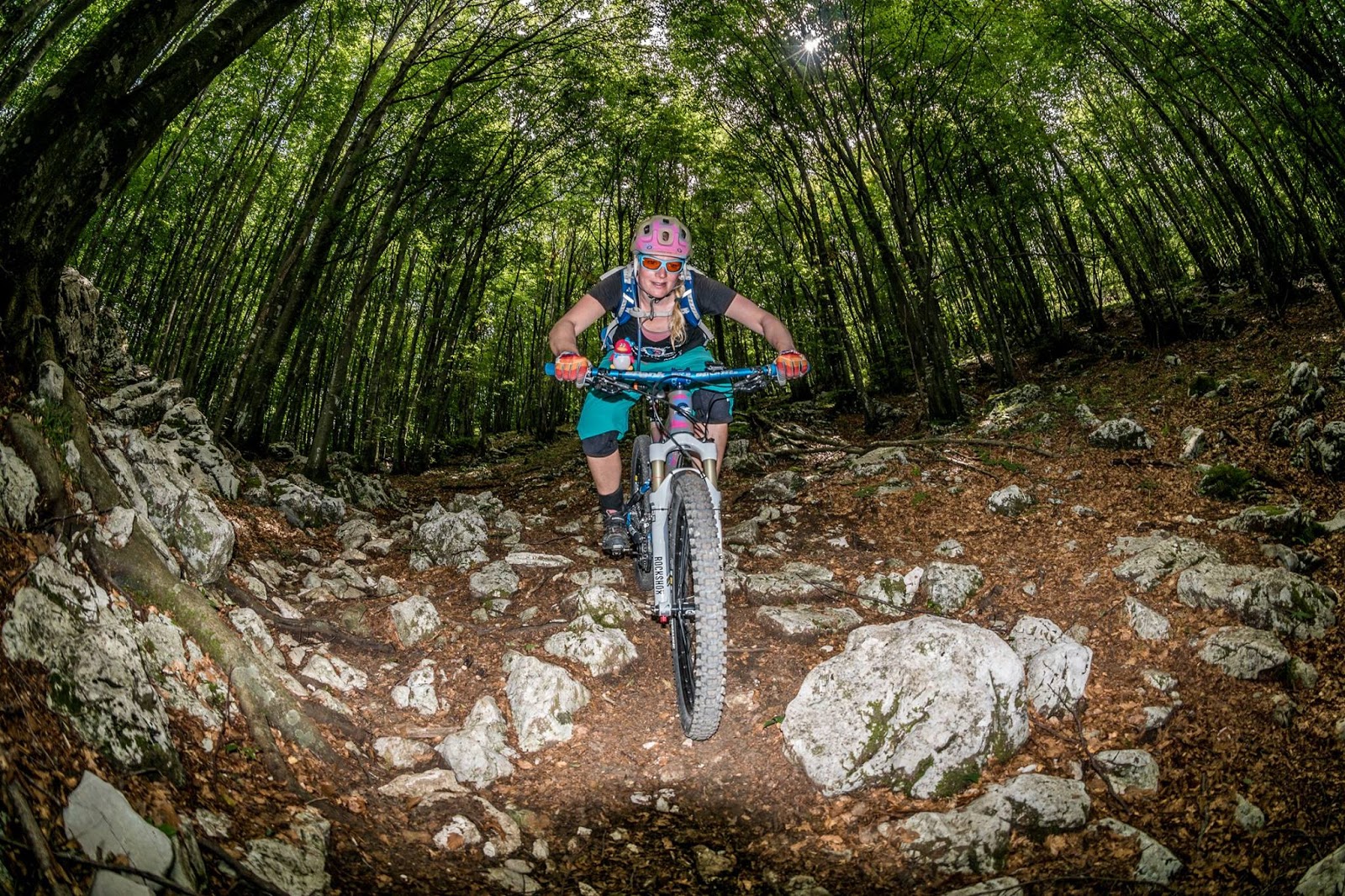 Infos Und Bilder Zum Tag Der Offenen Tur