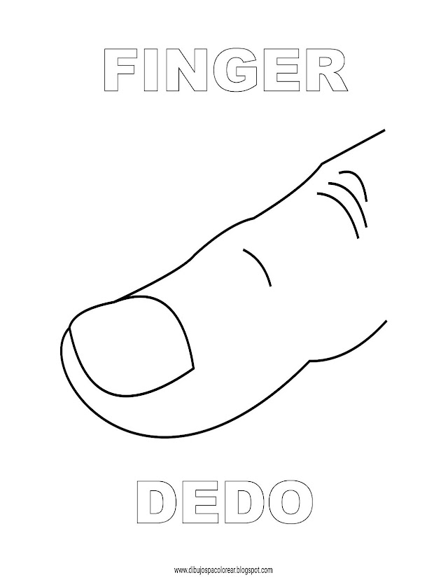 Dibujos Inglés - Español con D: Dedo - Finger