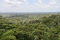 La forêt guyanaise couvre l'essentiel de la Guyane