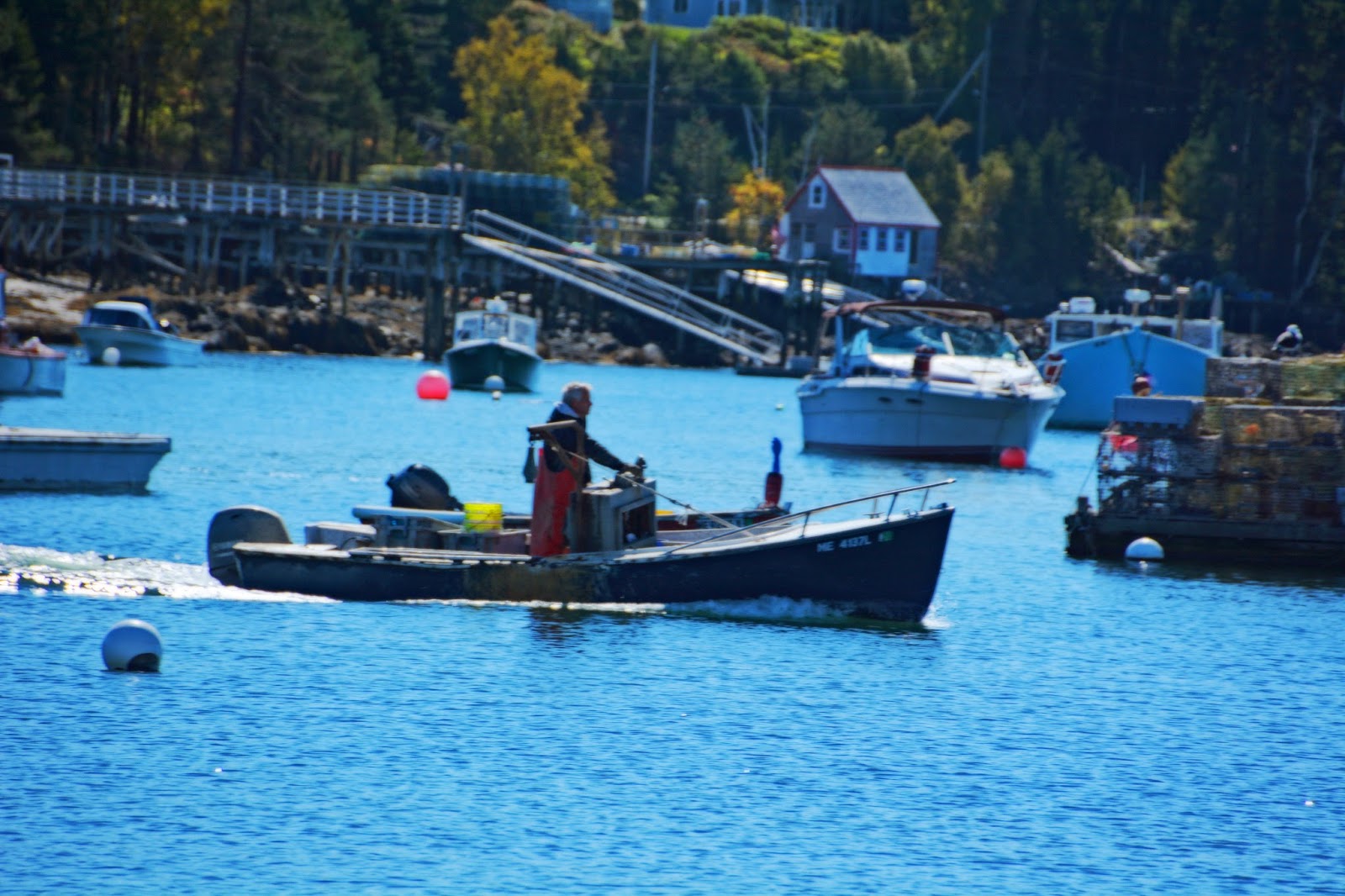 My World in Pennsylvania and Beyond Mackerel Cove on Bailey Island, Maine