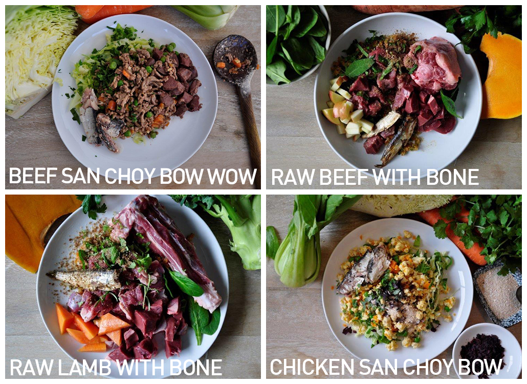 Good Pet Food Kitchen Raw Meals Review Australian Dog Lover