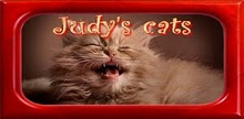 Judy's cats