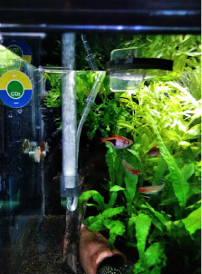 スドーサテライトグレードアップセット使用時で給水