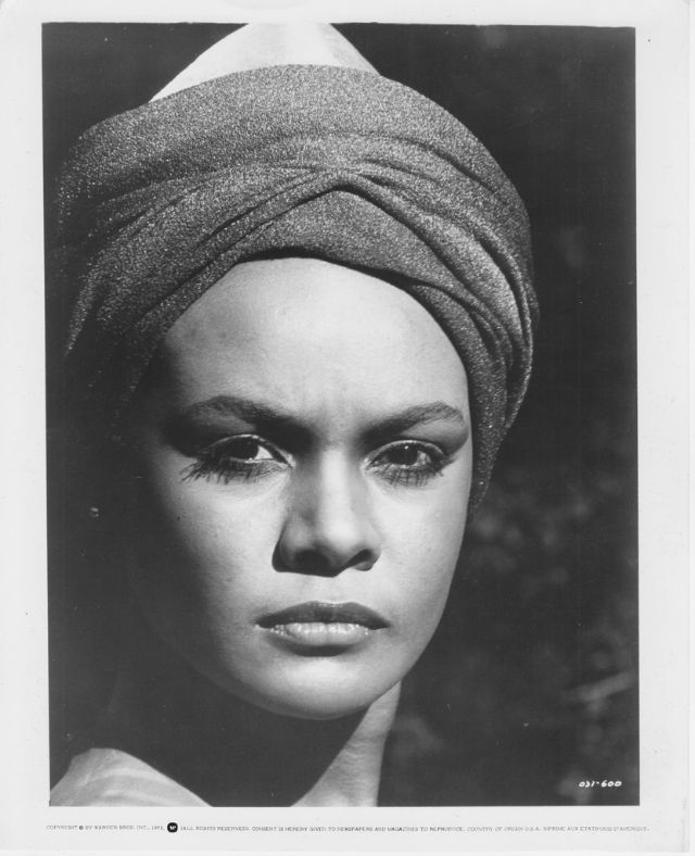 23 fascinating vintage photos tamara dobson model turned 23 fascinating vintage photos tamara dobson model turned