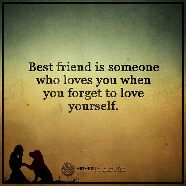 Best Friend is someone who loves you when you to love yourself