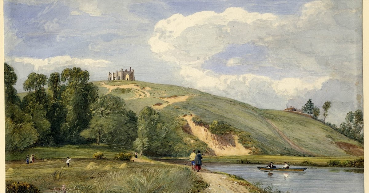 Surrey Hills Birder Shalford historic list