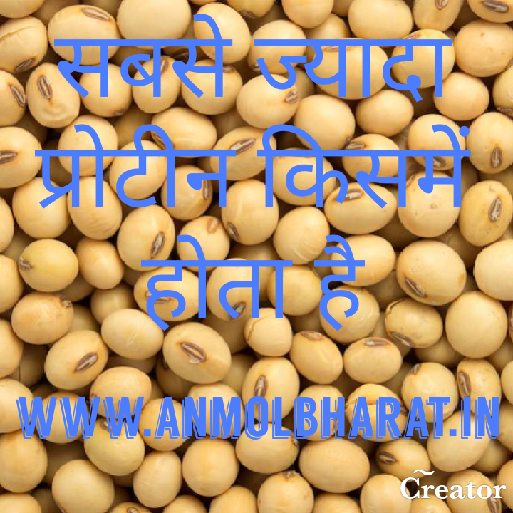 सबसे ज्यादा प्रोटीन किसमें होता हैsabse jada protein kisme hota hai