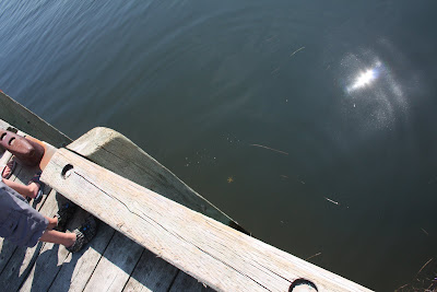 catch and release starfish