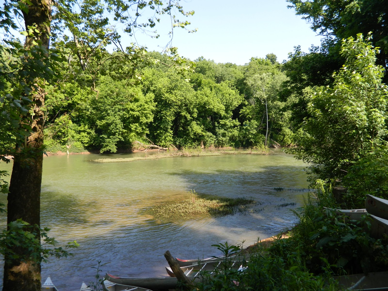 Paddle Tennessee Red River Around Adams TN