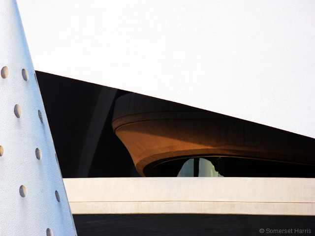 Ciudad de las Ciencias-Valencia-Spain © Somerset-Harris