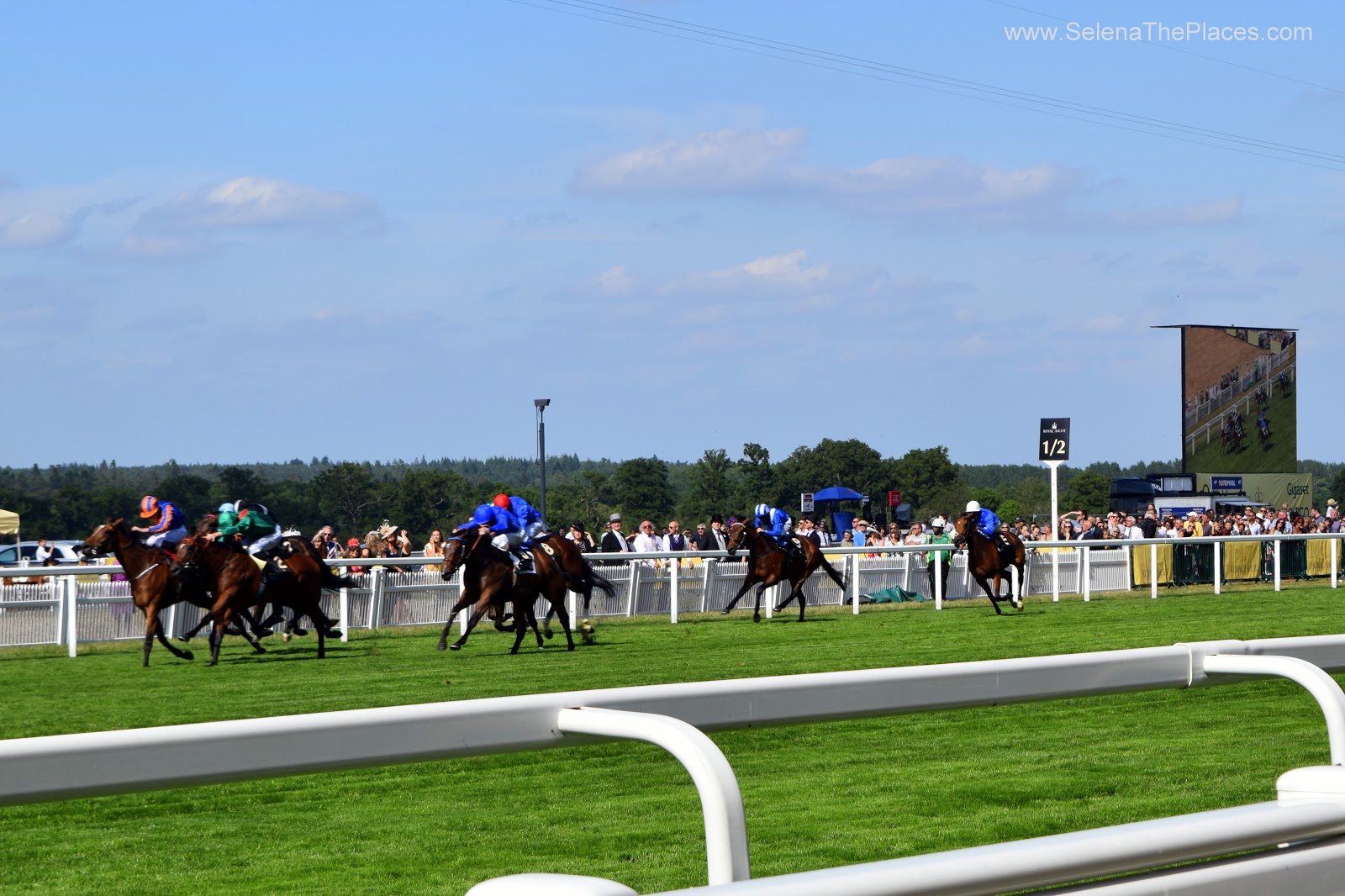 Royal Ascot 2015