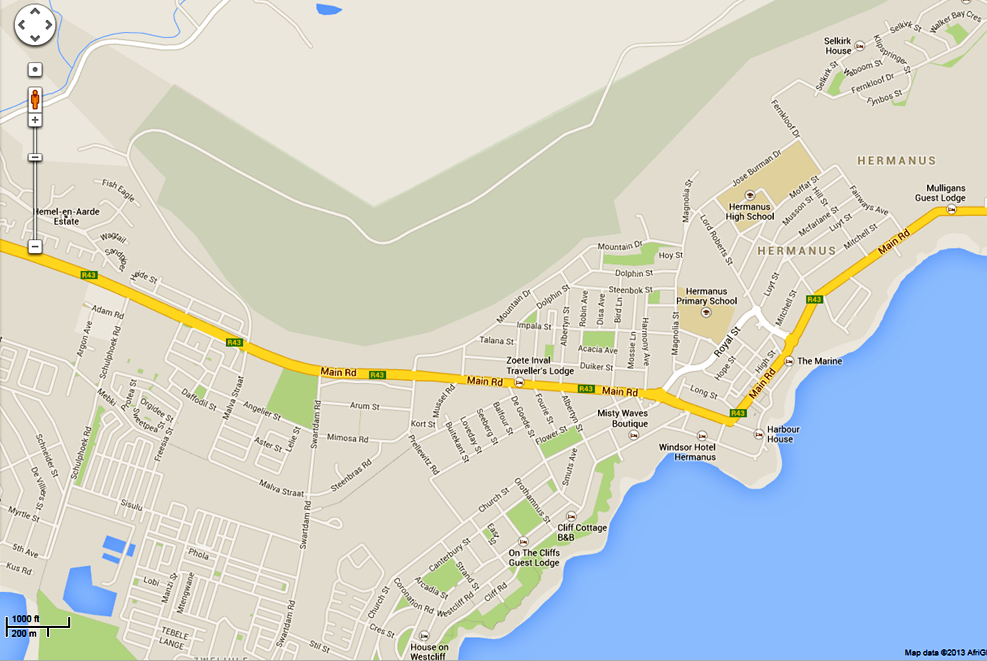 All About Datsun: Update: Hermanus Whale Run All About Datsun: Update: Hermanus Whale Run