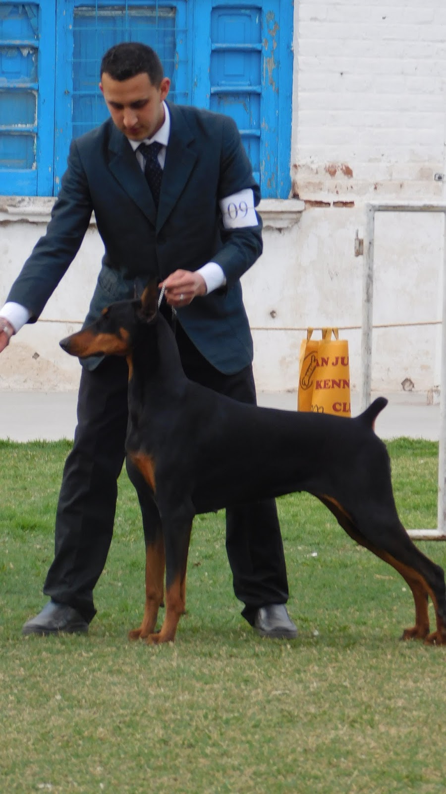 DOB ANKORUNG KENNEL - SAN JUAN - ARGENTINA: El Dobermann como raza da ...