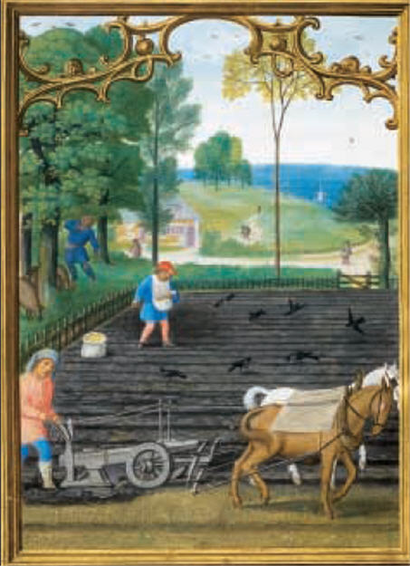 THE AGRICULTURE IN THE HIGH MIDDLE AGES food recipes