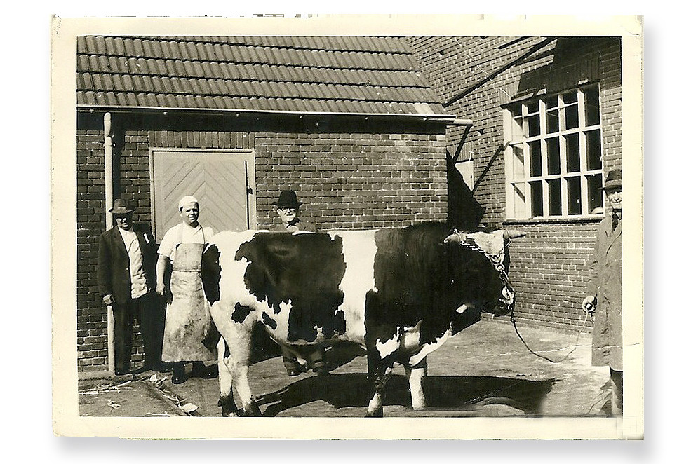 Bakfiets Blog Mobeleinkauf Mit Dem Radlader