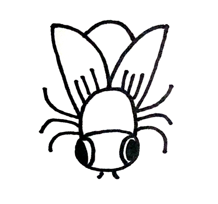 How To Draw A Fly For Kid - Drawingsforkids.Net