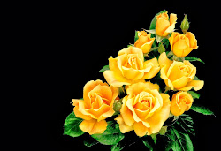 yellow rose wallpapers roses 4u abstract