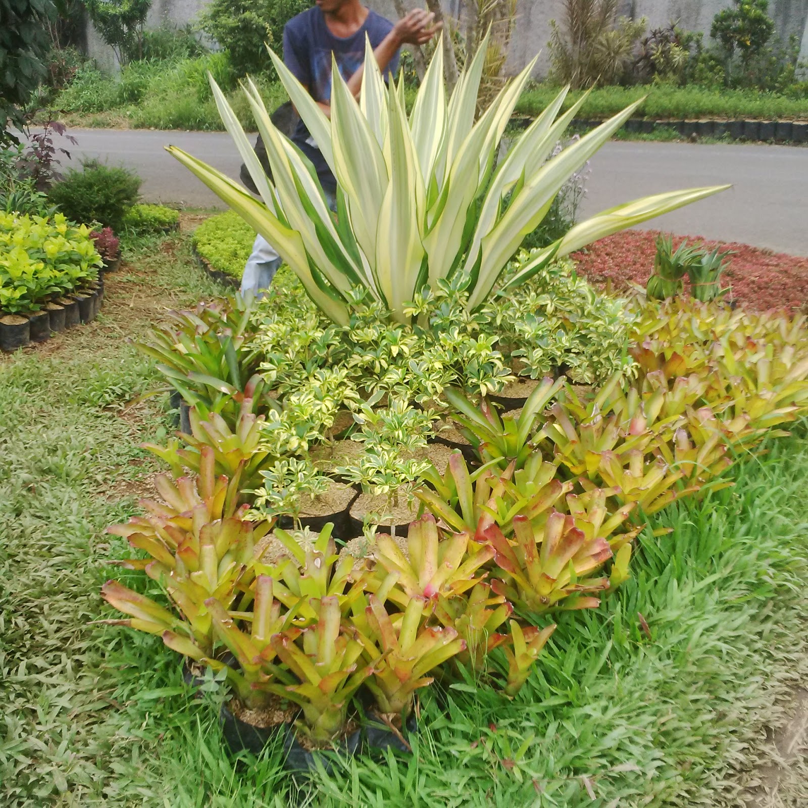 PUSAT RUMPUT SINTETIS TAMAN & FUTSAL DAN VERTICAL GARDEN SINTETIS