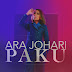 Lirik Lagu Paku - Ara Johari