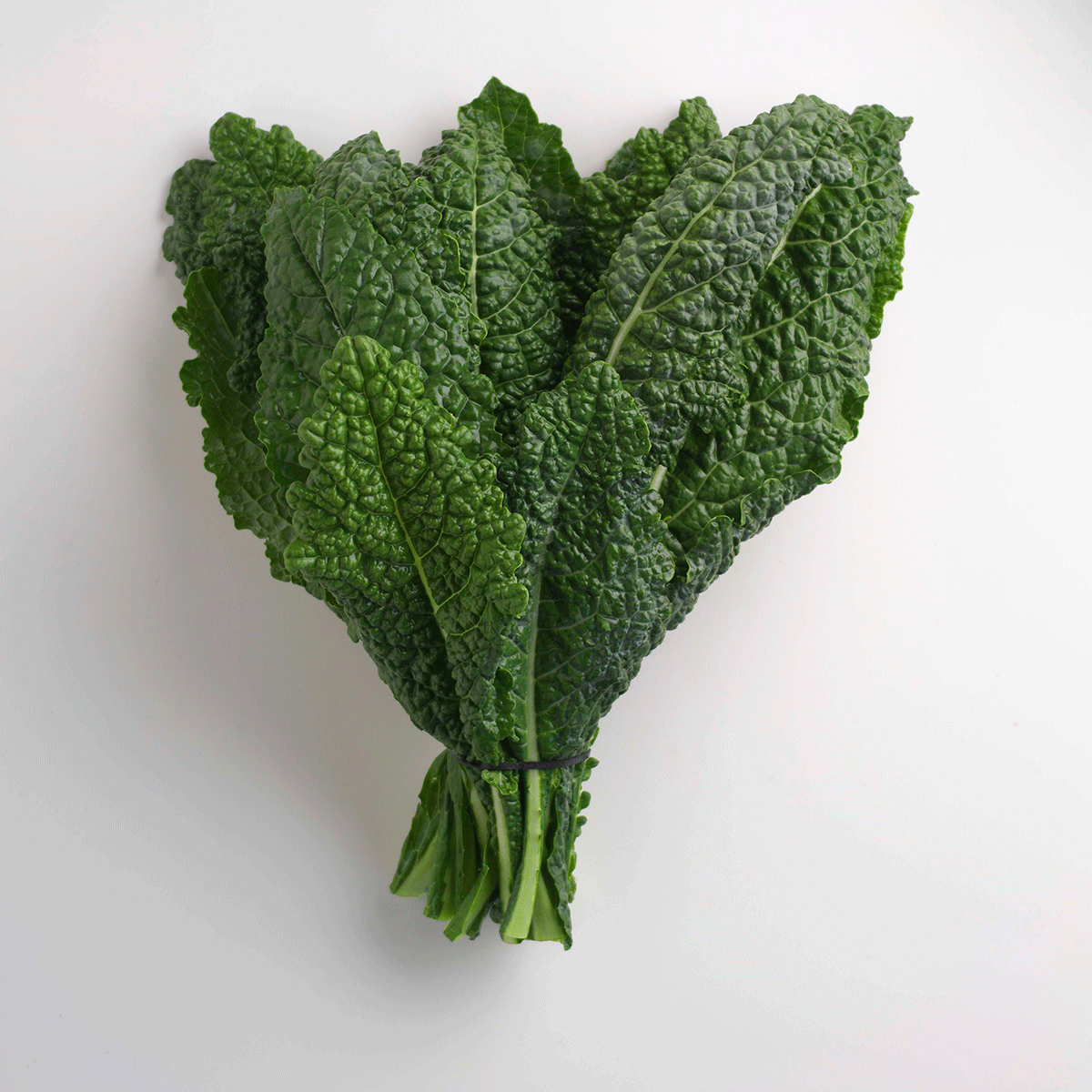 Lacinato Kale Preparing Cooking Recipes [SAUTÉING, MICROWAVING, JUICING