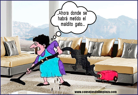 Resultado de imagen para limpieza humor