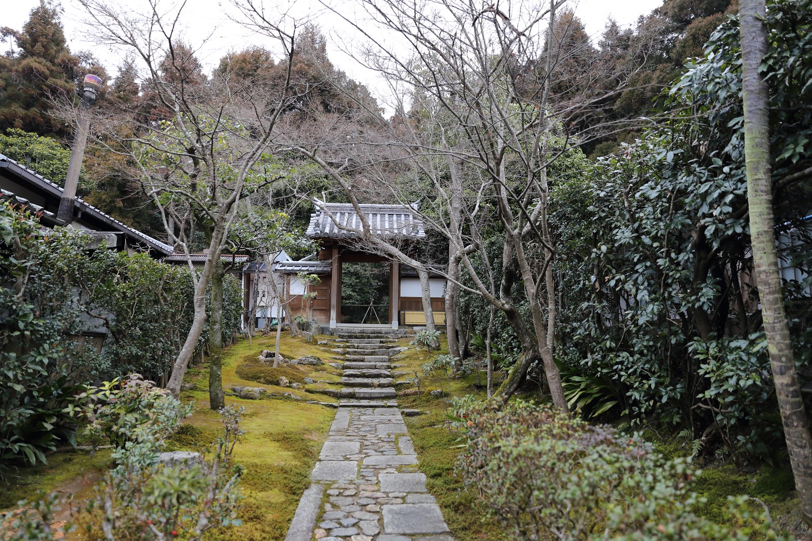 龍安寺枯山水石庭 第一次日本京阪奈自由行旅 十七