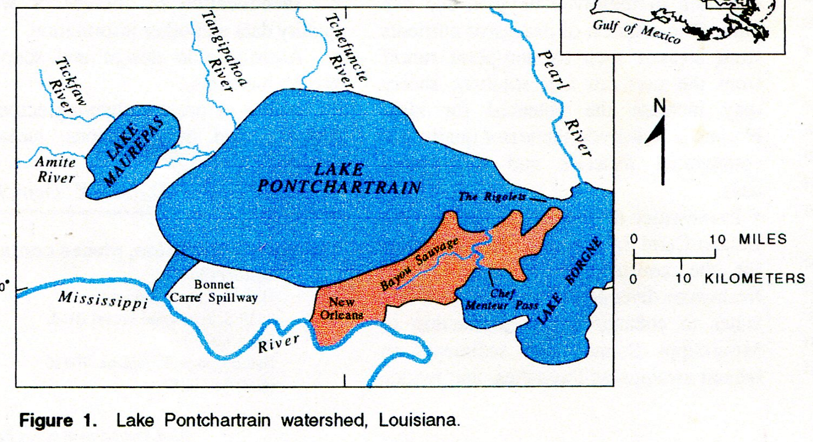 Tammany Family Information about Lake Pontchartrain