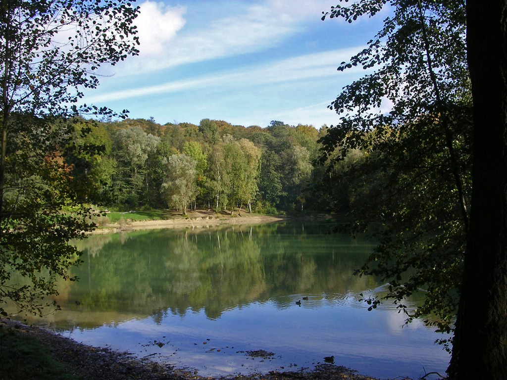 Ile de France Walks Wednesday 27 July in the forest of Carnelle