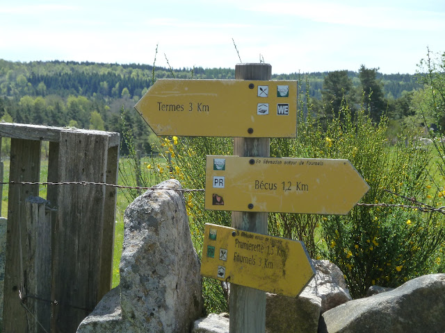 [CR] VTT BUL : Itinérance dans l'Aubrac du 15 au 17 mai 2017 P1100413