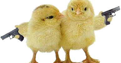 Photo Cara Membedakan Ayam Jantan atau Betina Menurut Mbak Dadah