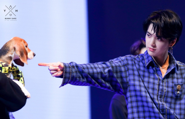 첫인상 아무것도 맞지 않는다는 남돌 비주얼라인 | 인스티즈