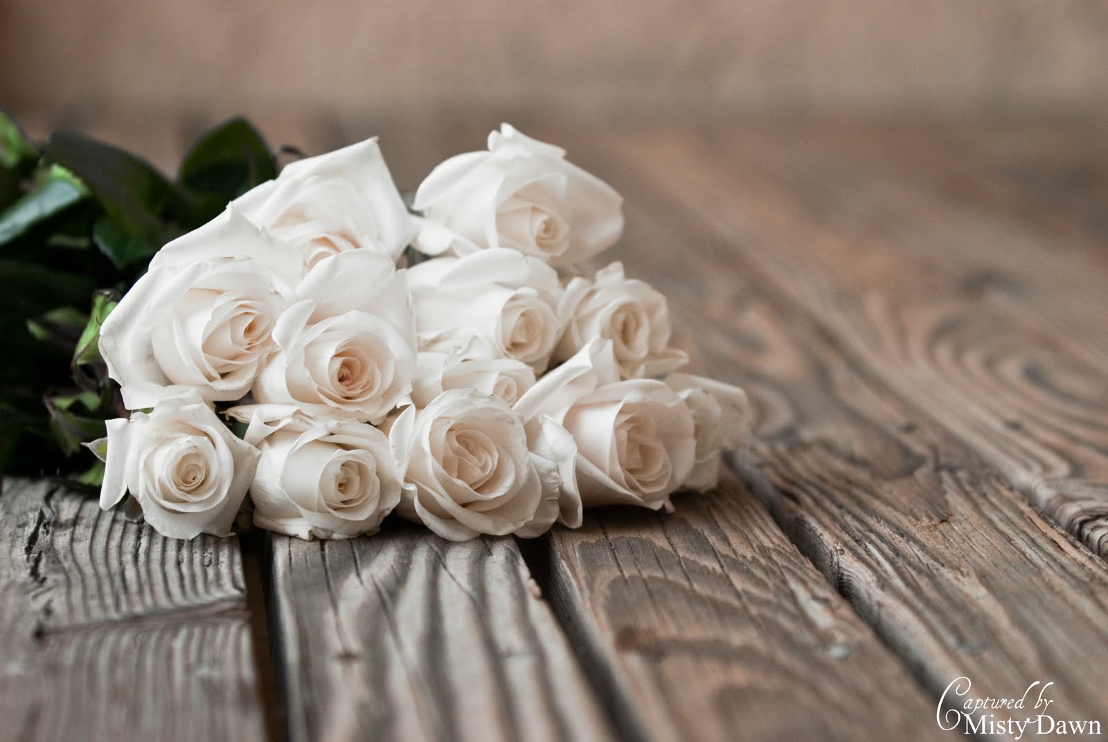 Through A Photographer's Eyes Day 227 Just Because