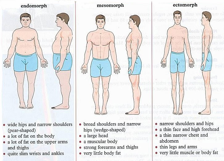 WEAR IT RIGHT Mens Fashion Men's Body Types