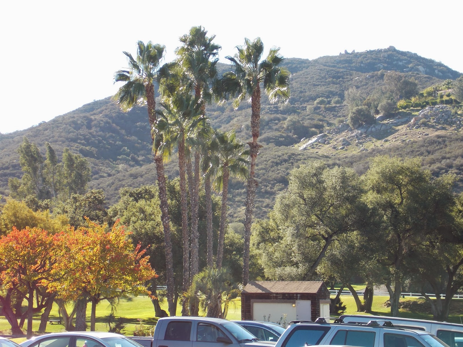 The Schramm Journey Escondido, California