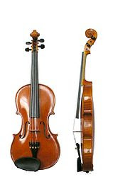 VIOLINO