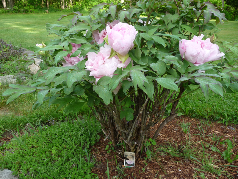 The Way I See It My Beautiful Life