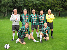 Gröna laget 2011