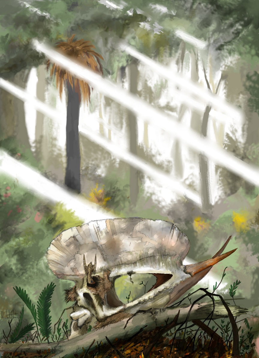Mark Witton.com Blog: Praise for Pterosaurs: Natural History, Evolution, Anatomy