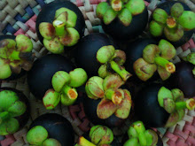 Mangosteen