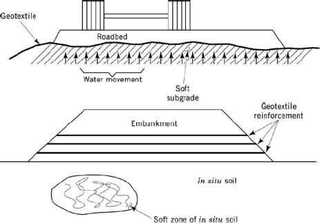 download human cell