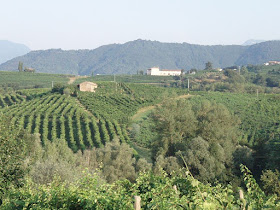 The vine-clad hills around Valdobbiadene, home of Italy's finest Prosecco wines