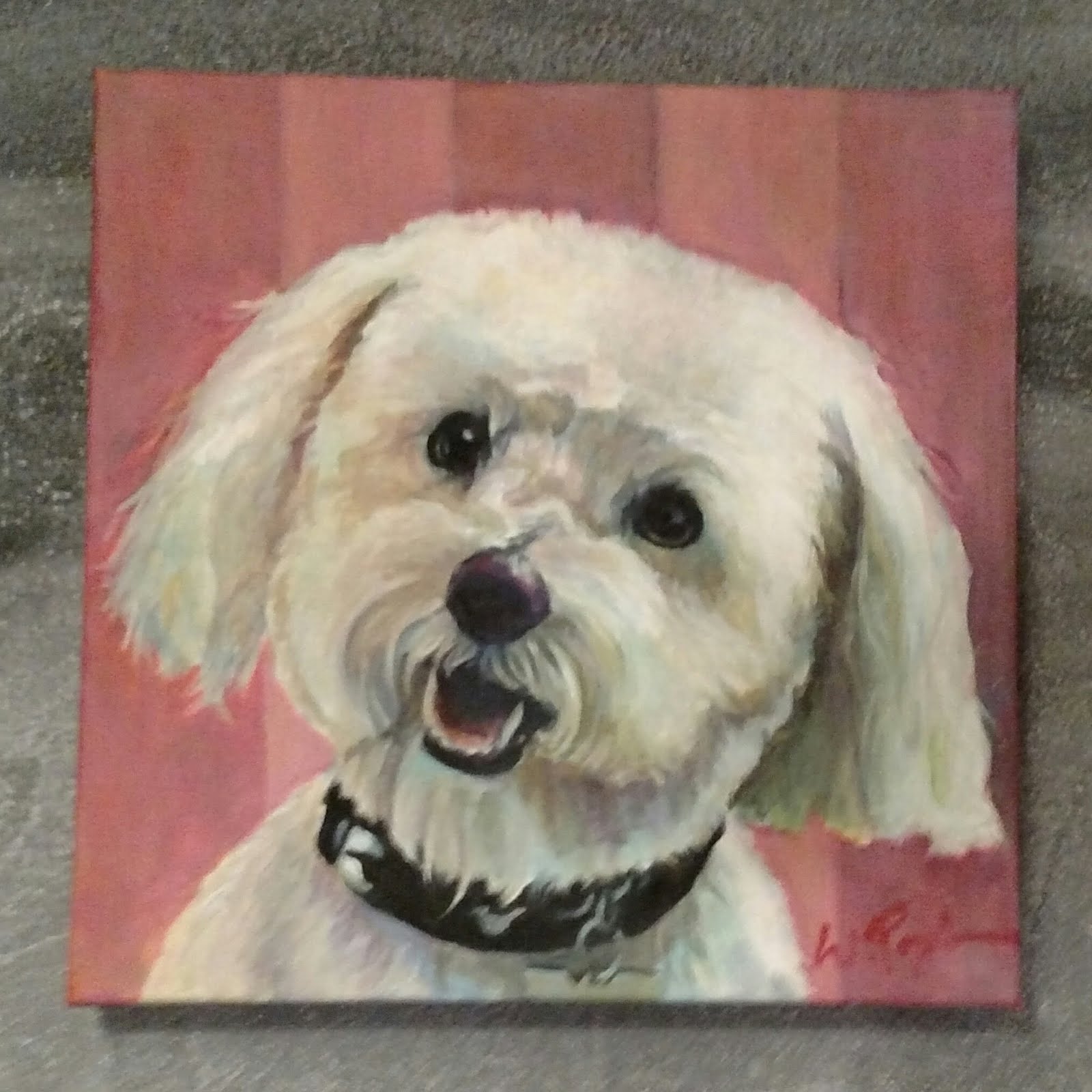 Pet Portrait of Bichon Frise or Shnoodle